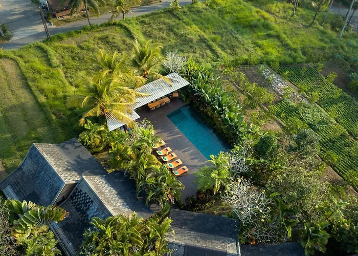 Tegal Tis Ubud Payangan