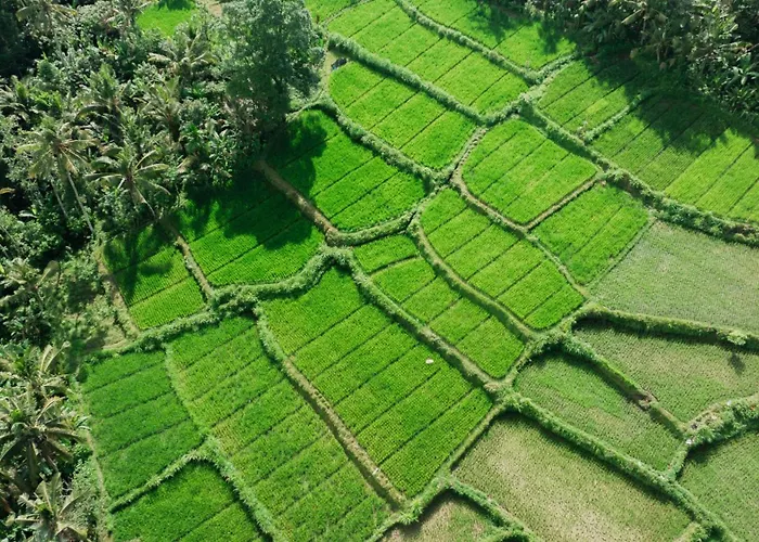 Tegal Tis Ubud 4* Payangan